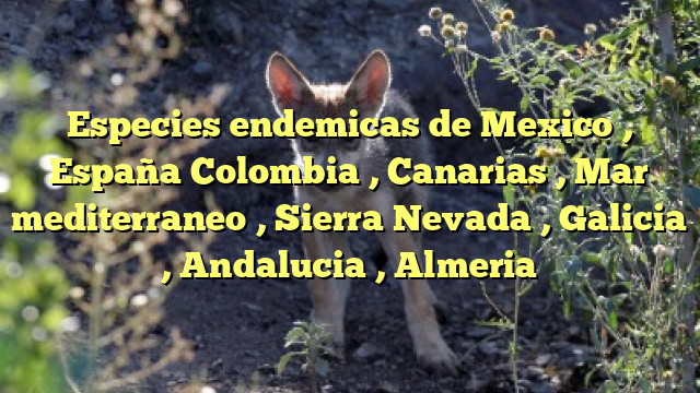 Especies endemicas de Mexico , España Colombia , Canarias , Mar mediterraneo , Sierra Nevada , Galicia , Andalucia , Almeria