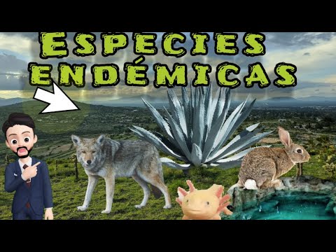 Tres especies endémicas: descubre la fauna única de tu región