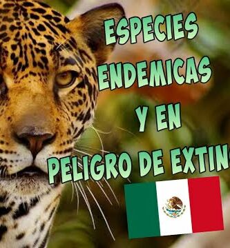 Especie endémica de México en peligro de extinción: ¿Cómo podemos ayudar?