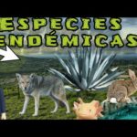 Especies endémicas de México: Descubre su biodiversidad única